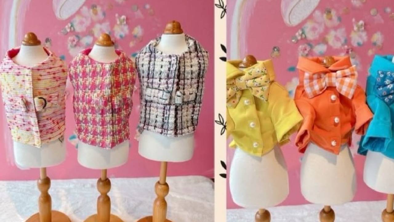 Dog Designewears: ನಿಮ್ಮನೆ ಮುದ್ದು ನಾಯಿಮರಿಗಳಿಗೂ ಬಂತು ಕಲರ್‌ಫುಲ್ ಡಿಸೈನರ್‌ವೇರ್ಸ್
