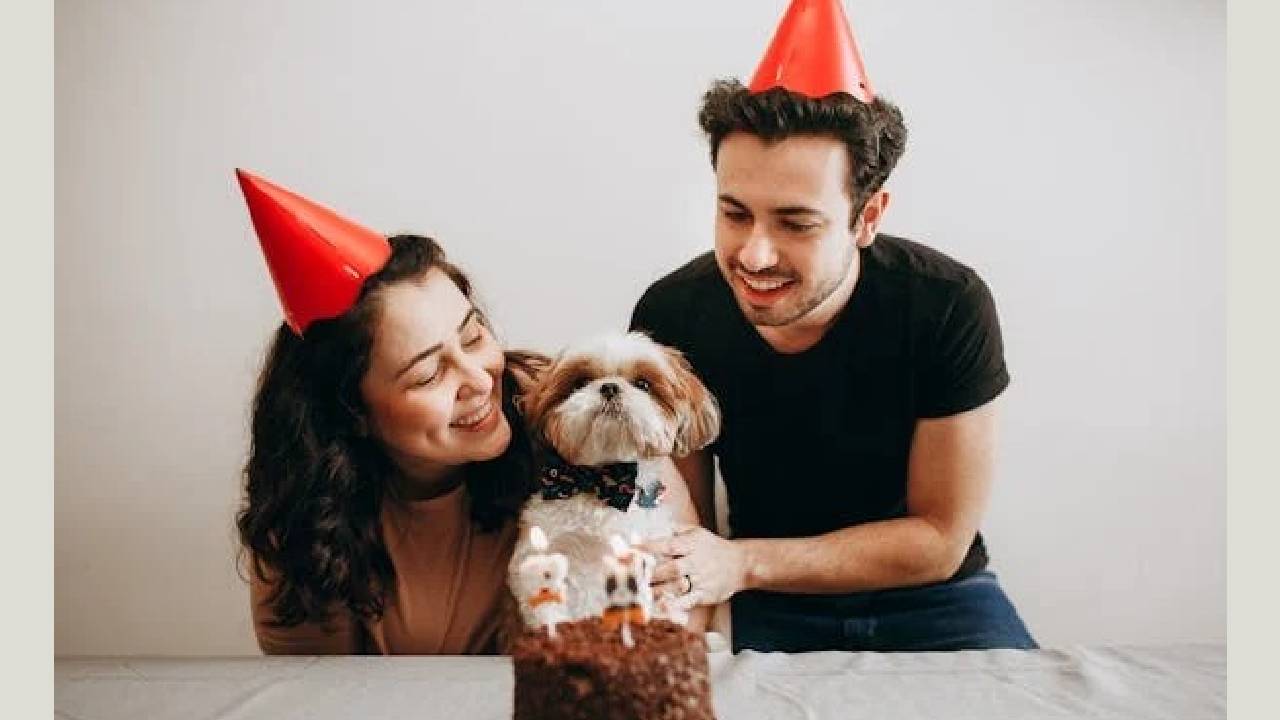Doggy Birthday Accessories: ನಿಮ್ಮ ಕ್ಯೂಟ್ ನಾಯಿ ಮರಿಗಳ ಬರ್ತ್ಡೇ ಸೆಲೆಬ್ರೇಷನ್ಗೂ ಬಂತು ಫ್ಯಾಷೆನಬಲ್ ಆಕ್ಸೆಸರೀಸ್! - Image 1