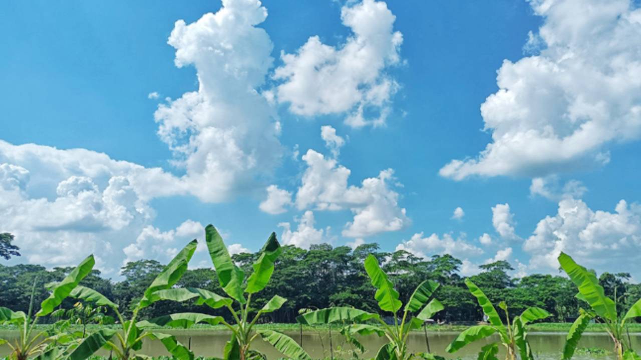 Karnataka Weather: ಹವಾಮಾನ ವರದಿ; ಇಂದು ಕೂಡ ರಾಜ್ಯದಲ್ಲಿ ಮುಂದುವರಿಯಲಿದೆ ಒಣ ಹವೆ