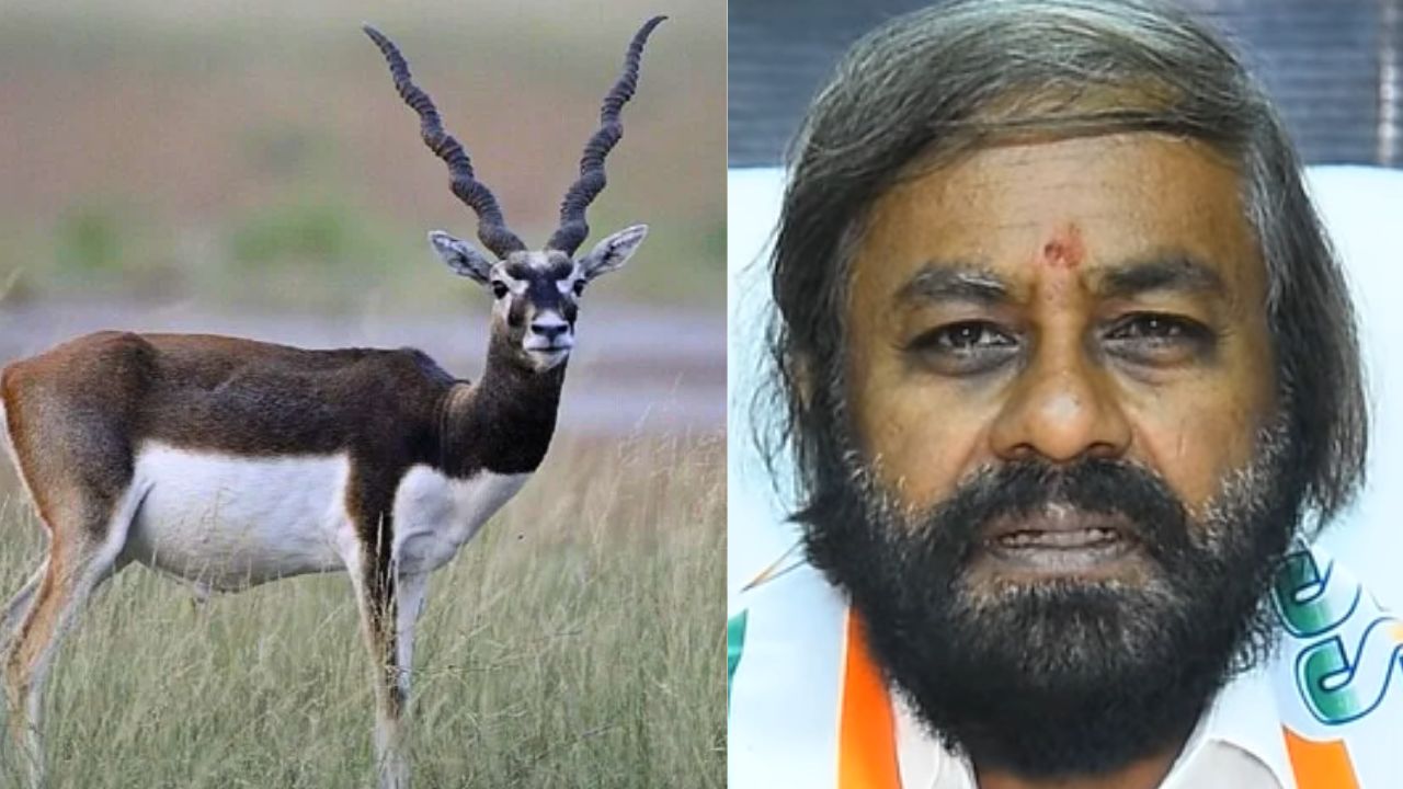 31 ಕೃಷ್ಣ ಮೃಗಗಳ ಸಾವಿಗೆ ಸಾಂಕ್ರಾಮಿಕ ರೋಗ ಕಾರಣ: ಈಶ್ವರ್‌ ಖಂಡ್ರೆ