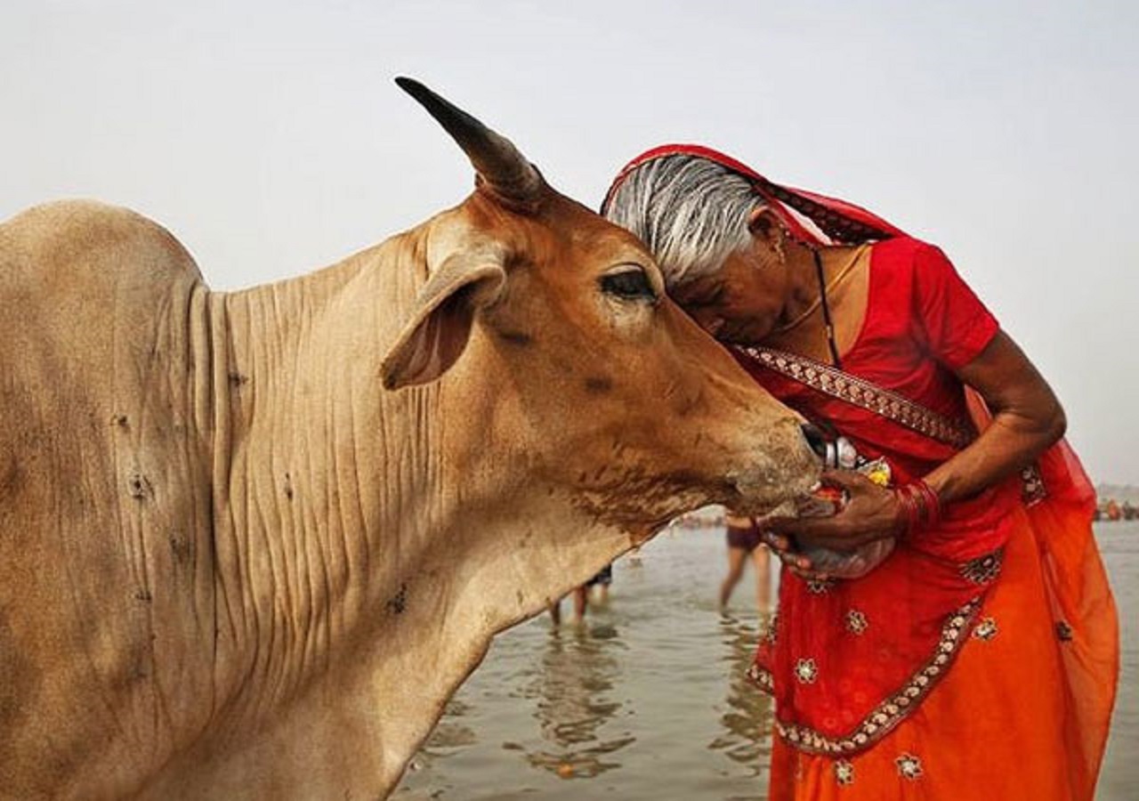 Roopa Gururaj Column: ಉಪಕಾರಸ್ಮರಣೆ ಇಲ್ಲದ ಮನುಷ್ಯ