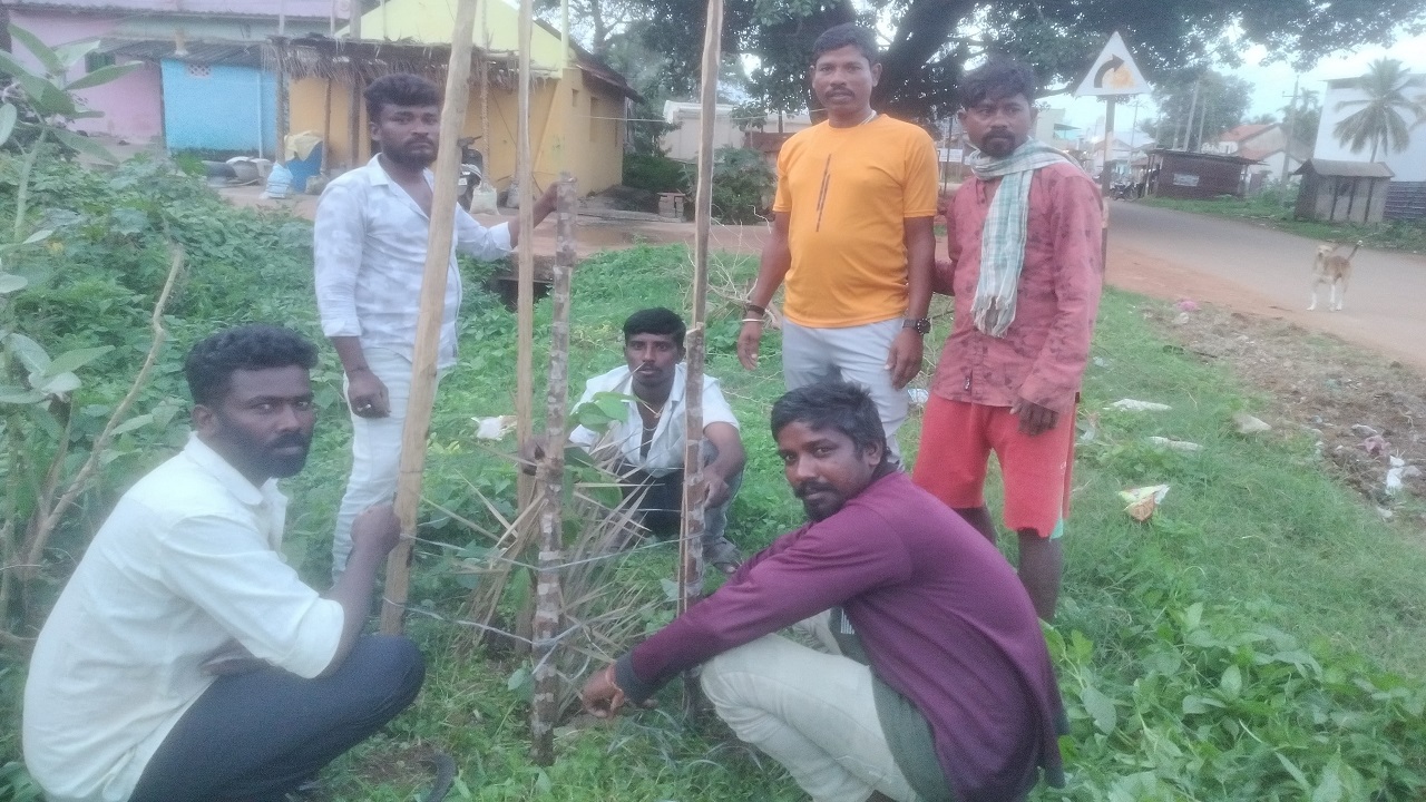 Gubbi News: ರಸ್ತೆ ಬದಿ ಗಿಡ ನೆಟ್ಟ ಯುವಕರ ತಂಡ : ಪರಿಸರ ಕಾಳಜಿ ಕುರಿತು ಜಾಗೃತಿ