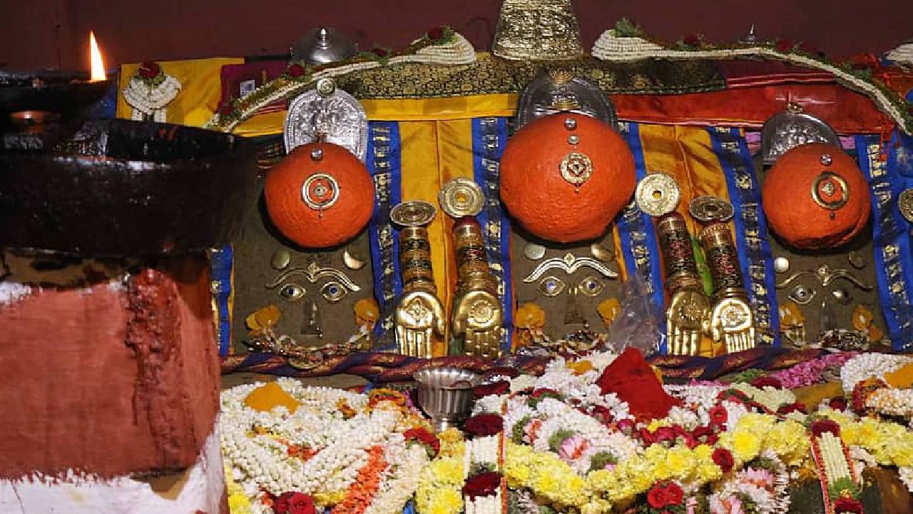 Hasanamba Temple: ಹಾಸನಾಂಬೆಯ ದರ್ಶನಕ್ಕೆ ಜನ ಸಾಗರ; ಒಂದೇ ದಿನಕ್ಕೆ 1 ಕೋಟಿಗೂ ಹೆಚ್ಚು ಹಣ ಸಂಗ್ರಹ