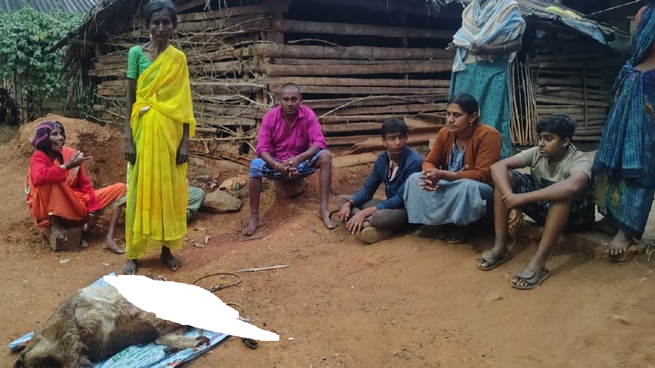 Gubbi News: ಮೇಯುತ್ತಿದ್ದ ಮೇಕೆಗಳ ಮೇಲೆ ಚಿರತೆ ದಾಳಿ: ಕುರಿಗಾಯಿ ಮಹಿಳೆ ಕೂದಲೆಳೆಯಲ್ಲಿ ಪಾರು