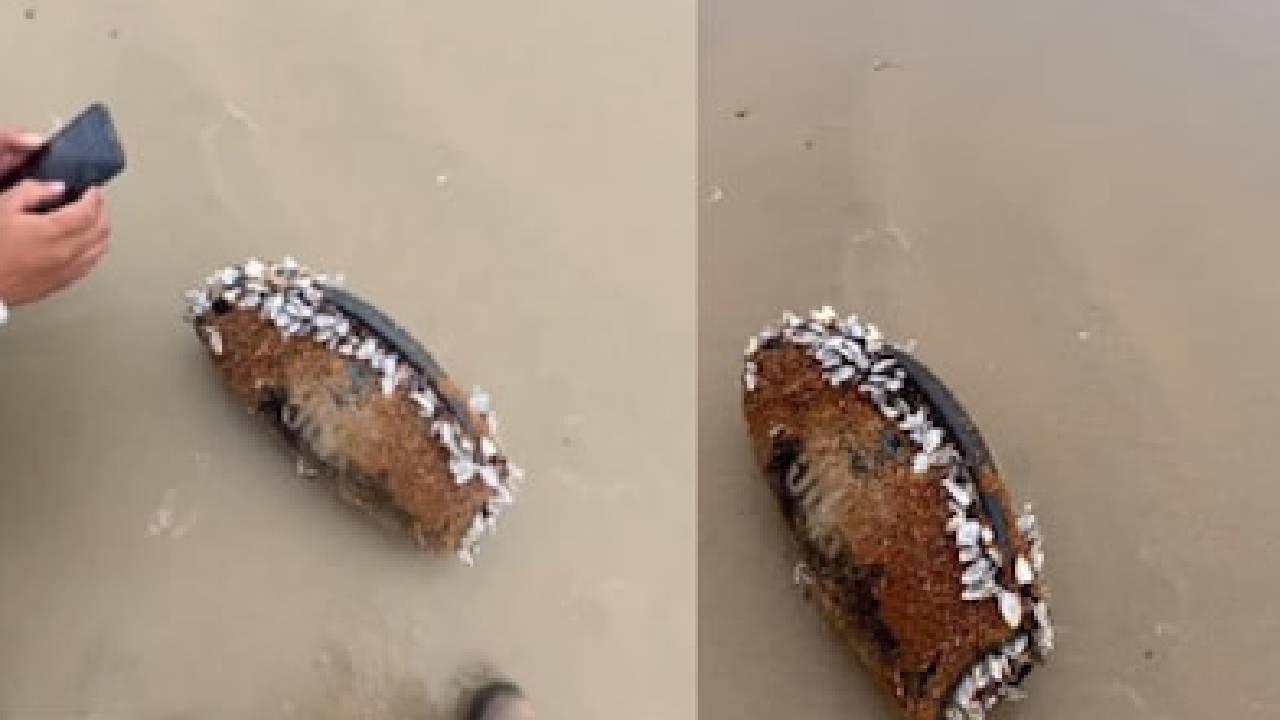 ಸಮುದ್ರದಲ್ಲಿ 3 ತಿಂಗಳಿದ್ದರೂ ಹಾಳಾಗದ ಜೆಬಿಎಲ್ ಸ್ಪೀಕರ್: ಗುಣಮಟ್ಟಕ್ಕೆ ಮನಸೋತ ನೆಟ್ಟಿಗರು