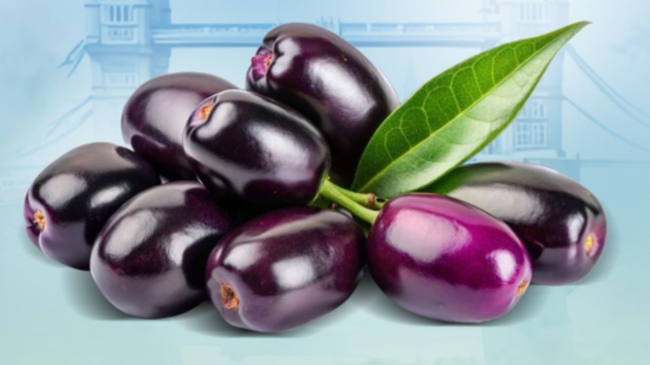Jamun Fruit: ಜಾಗತಿಕ ಮಾರುಕಟ್ಟೆಗೆ ಲಗ್ಗೆ ಇಟ್ಟ ಕರ್ನಾಟಕದ ನೇರಳೆ ಹಣ್ಣು; ಲಂಡನ್‌ಗೆ ರಫ್ತು