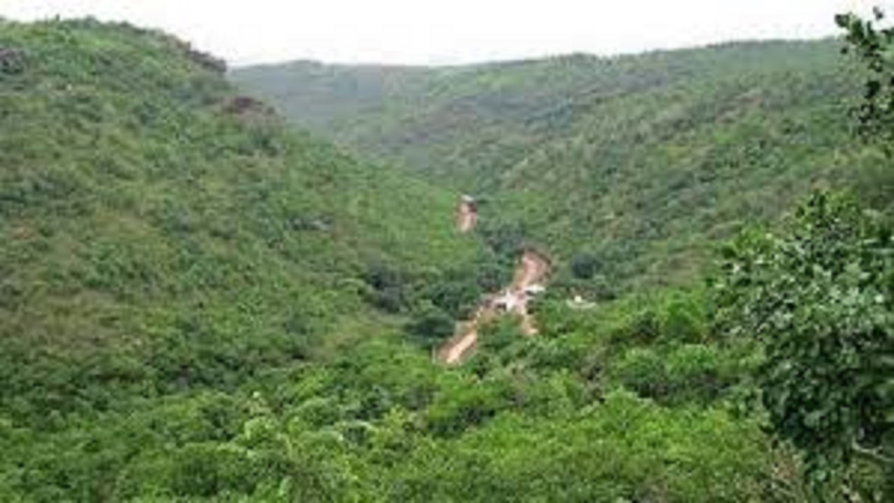 ಕಪ್ಪತ್ತಗುಡ್ಡಕ್ಕೆ ಕೊನೆಗೂ ಕಾನೂನಿನ ರಕ್ಷಣೆ