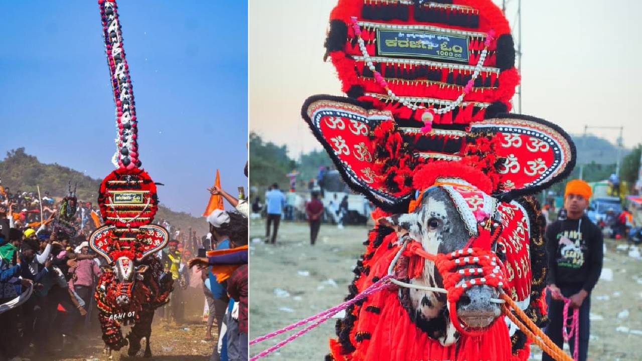 ಓಟ ನಿಲ್ಲಿಸಿದ ಕರ್ಜಗಿ ಓಂ-112; ಅನಾರೋಗ್ಯದಿಂದ ಹೋರಿ ಸಾವು