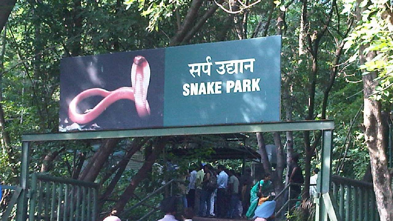 Snake Parks In India: ಹಾವುಗಳ ಬಗ್ಗೆ ತಿಳಿದುಕೊಳ್ಳಬೇಕೆ? ಇಲ್ಲಿದೆ ಭಾರತದ ಅತ್ಯುತ್ತಮ ಸ್ನೇಕ್ ಪಾರ್ಕ್ಗಳ ವಿವರ - Image 5