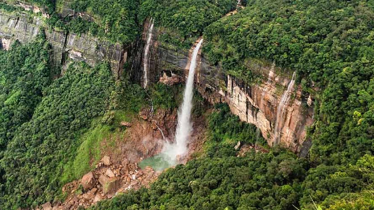 Magical Forests: ದಣಿದ ಮನಸ್ಸಿಗೆ ನೆಮ್ಮದಿಯ ತಂಗಾಳಿ ನೀಡುವ ಭಾರತದ ಅರಣ್ಯಗಳಿವು - Image 3
