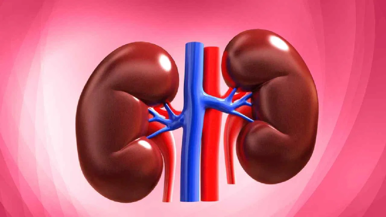 ಶಸ್ತ್ರಚಿಕಿತ್ಸಾ ಸಿದ್ಧತೆ ಮತ್ತು ನಿಖರತೆ ಜೀವ ಉಳಿಸಿದ ಐತಿಹಾಸಿಕ ಸಾಧನೆ