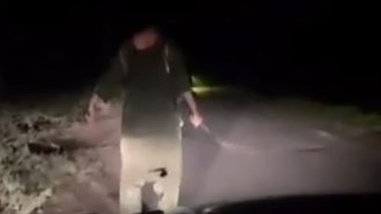 ಕಳ್ಳರನ್ನು ಓಡಿಸಲು ಎನ್‌ಆರ್‌ಐ ಮಹಿಳೆ ಮಾಡಿದ್ದೇನು ಗೊತ್ತೇ?