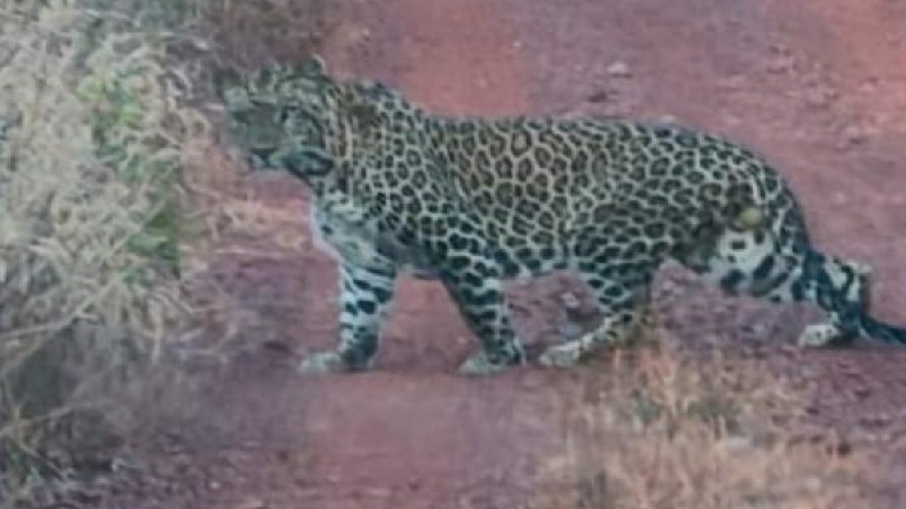 Vishwavani Editorial: ಆತಂಕಗಳು ಅಂತ್ಯವಾಗಲಿ