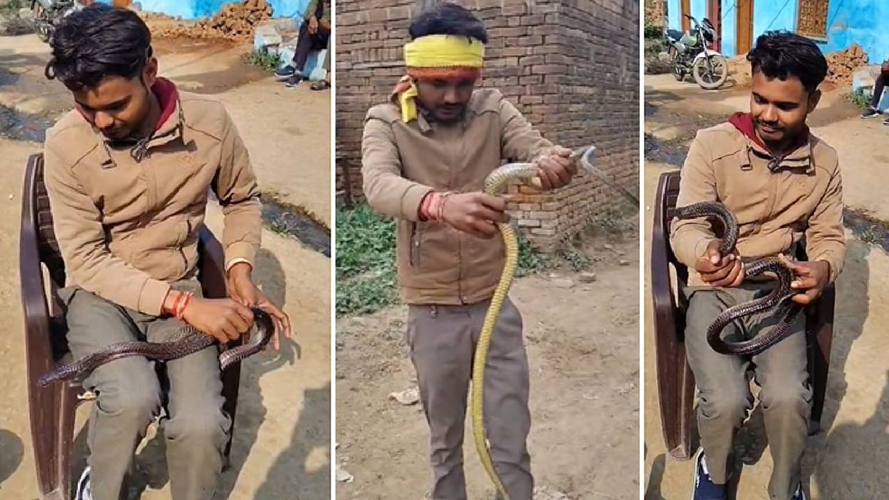 ವಿಷಕಾರಿ ಹಾವಿನೊಂದಿಗೆ ವಿದ್ಯಾರ್ಥಿ ಹರಟೆ: ಎದೆ ಝಲ್ ಎನ್ನುವ ದೃಶ್ಯವಿದು!