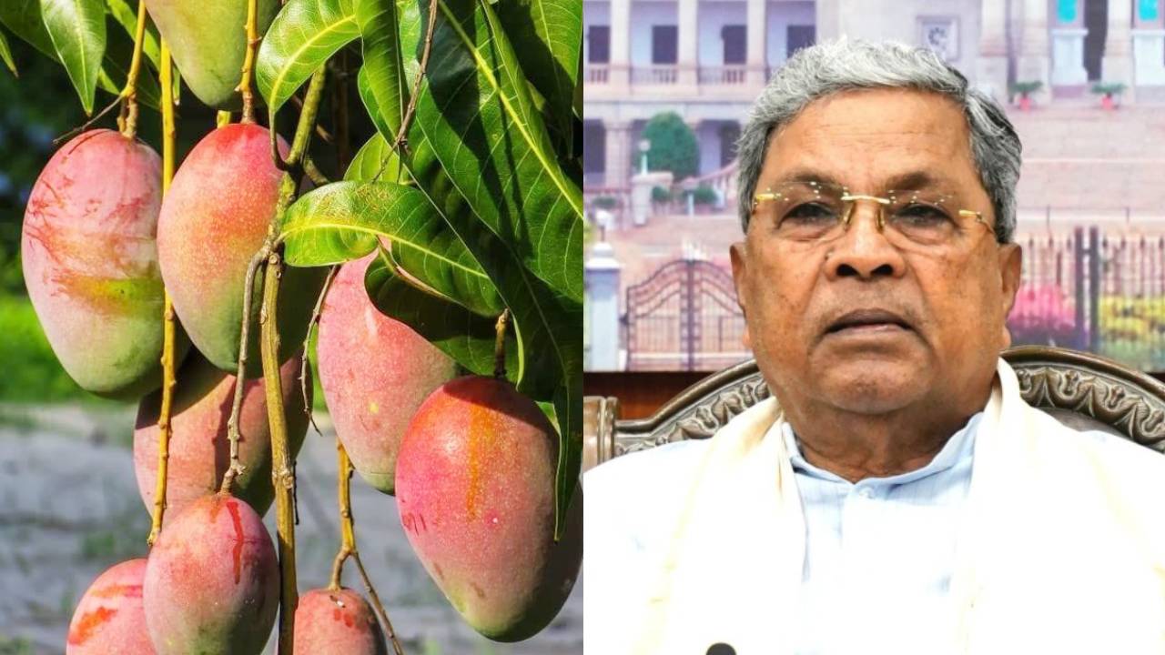 MSP for Mangoes: ಮಾವಿಗೆ ಬೆಂಬಲ ಬೆಲೆ ನೀಡುವ ಕುರಿತು ಸಚಿವ ಸಂಪುಟ ಸಭೆಯಲ್ಲಿ ಚರ್ಚೆ: ಸಿಎಂ ಭರವಸೆ