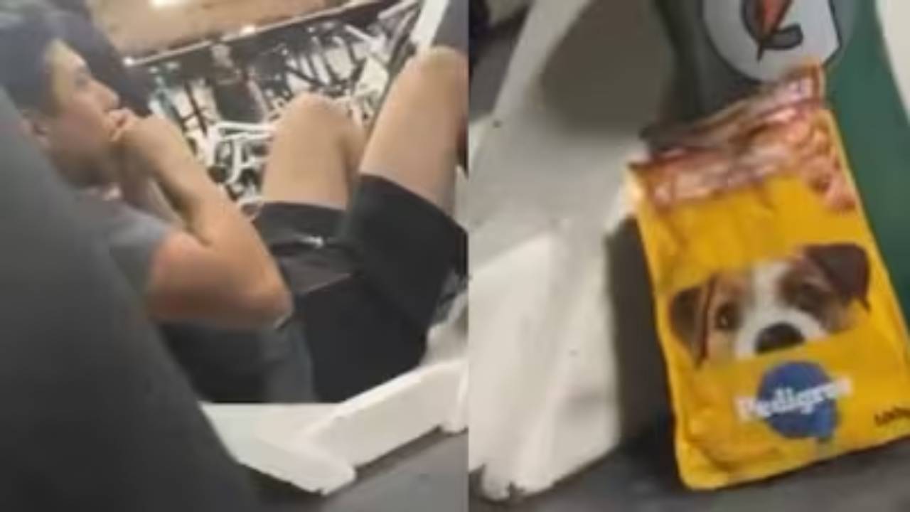 ಜಿಮ್ ನಲ್ಲಿ ಪ್ರೋಟೀನ್ ಗಾಗಿ ನಾಯಿ ಆಹಾರವನ್ನು ತಿಂದ ಯುವಕ!