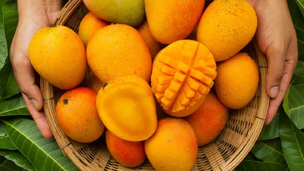 Mango Production Countries: ವಿಶ್ವದೆಲ್ಲೆಡೆ ಹರಡಿದೆ ಭಾರತದ ಮಾವಿನ ಘಮ; ಉತ್ಪಾದನೆಯಲ್ಲಿಯೂ ನಾವೇ ನಂ. 1 - Image 1