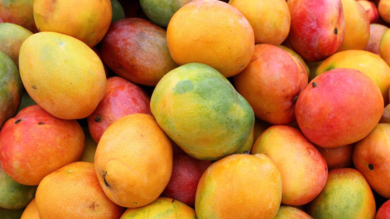 Mango Production Countries: ವಿಶ್ವದೆಲ್ಲೆಡೆ ಹರಡಿದೆ ಭಾರತದ ಮಾವಿನ ಘಮ; ಉತ್ಪಾದನೆಯಲ್ಲಿಯೂ ನಾವೇ ನಂ. 1 - Image 2