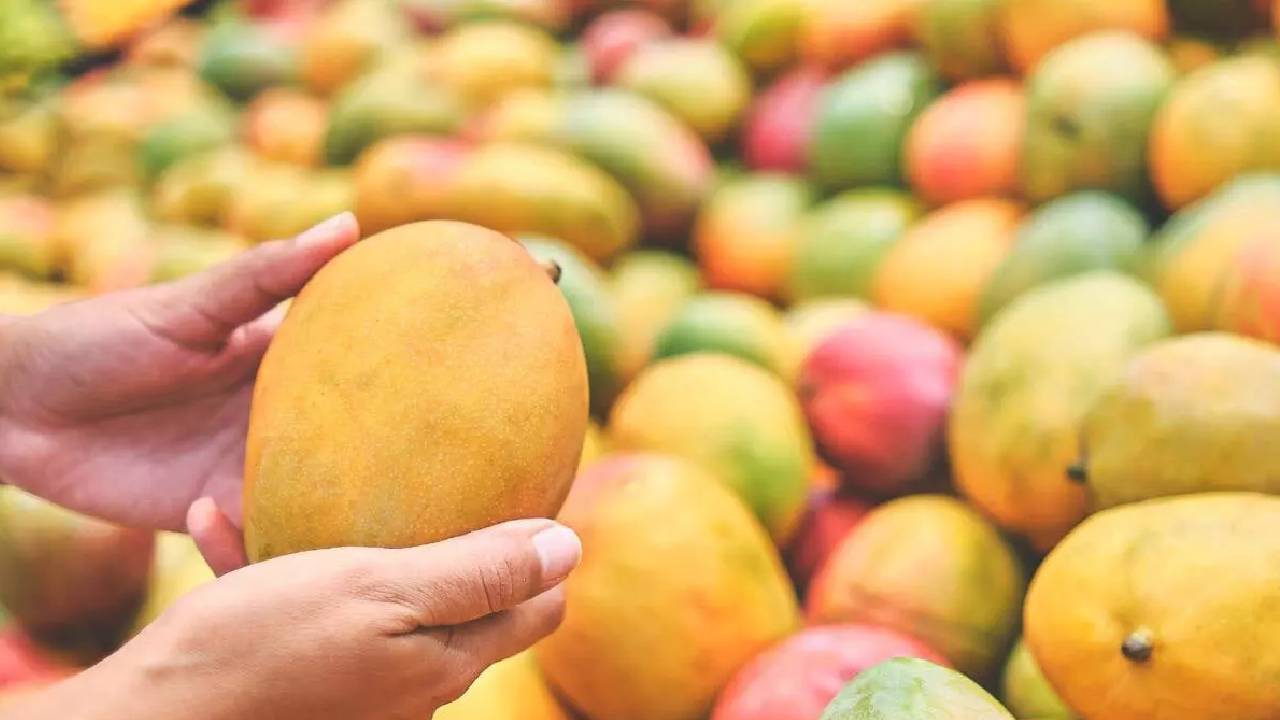 Mango Production Countries: ವಿಶ್ವದೆಲ್ಲೆಡೆ ಹರಡಿದೆ ಭಾರತದ ಮಾವಿನ ಘಮ; ಉತ್ಪಾದನೆಯಲ್ಲಿಯೂ ನಾವೇ ನಂ. 1 - Image 8