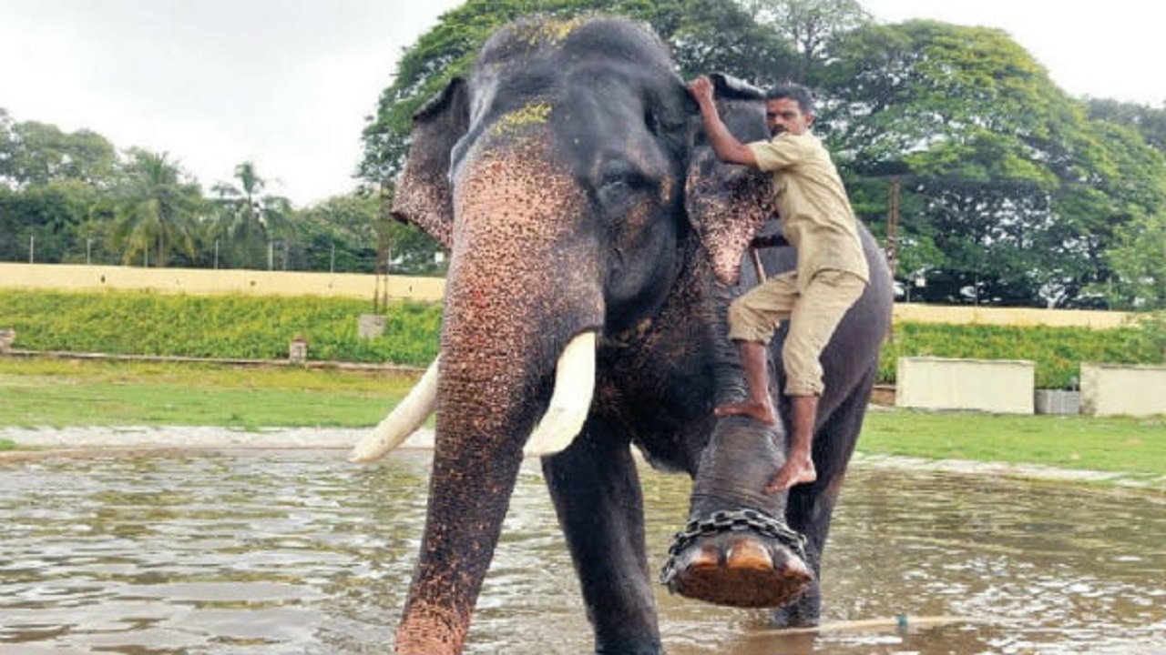 ಎಲ್ಲರೊಳಗಿನ ನಾರಾಯಣ
