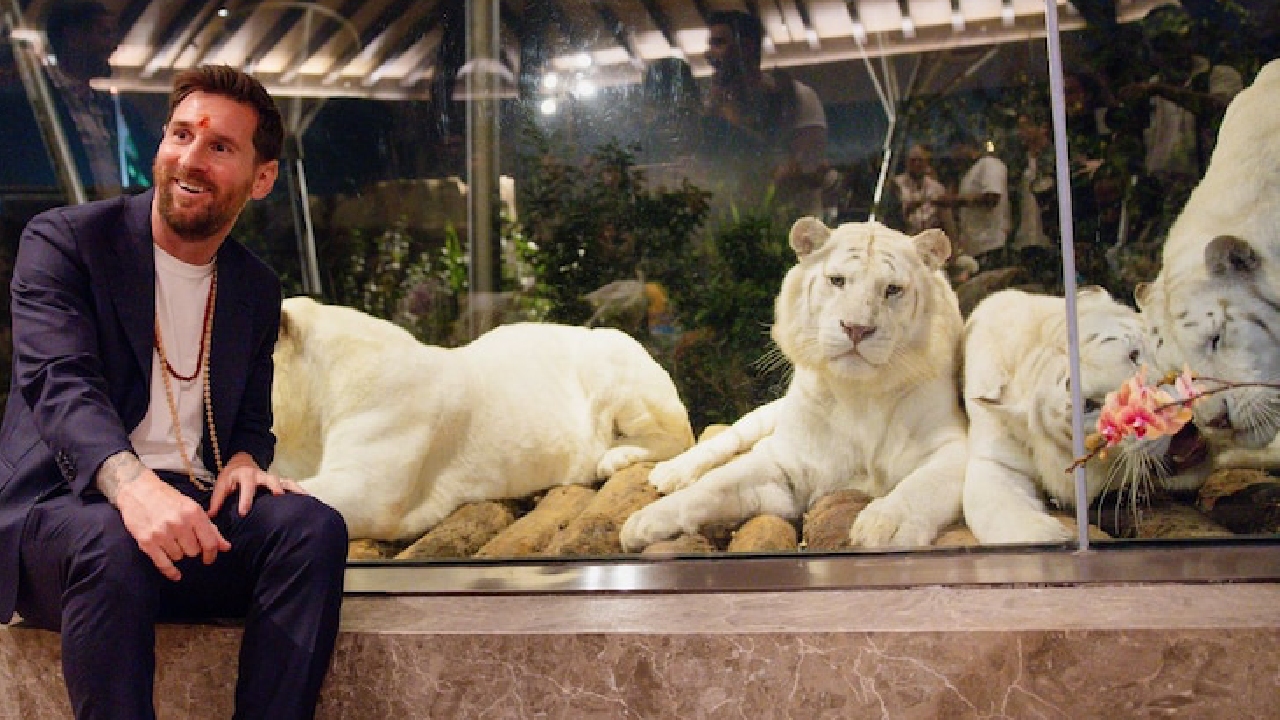 Messi Visit At Vantara: ಗಣೇಶನಿಗೆ ಪೂಜೆ, ಕತ್ತಲ್ಲಿ ಜಪ ಮಾಲೆ; ವಂತಾರಕ್ಕೆ ಭೇಟಿ ನೀಡಿದ ಮೆಸ್ಸಿ ಹೇಳಿದ್ದೇನು? - Image 2