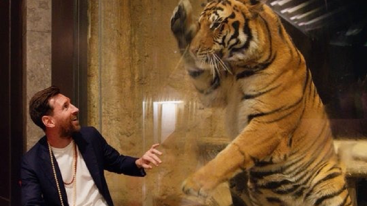 Messi Visit At Vantara: ಗಣೇಶನಿಗೆ ಪೂಜೆ, ಕತ್ತಲ್ಲಿ ಜಪ ಮಾಲೆ; ವಂತಾರಕ್ಕೆ ಭೇಟಿ ನೀಡಿದ ಮೆಸ್ಸಿ ಹೇಳಿದ್ದೇನು? - Image 3