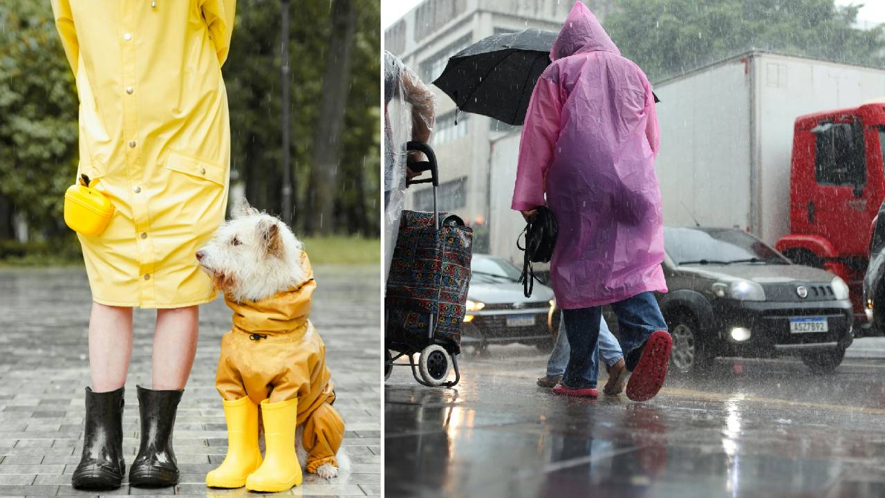 Monsoon Fashion 2025: ಮಳೆಗಾಲಕ್ಕೆ ಲಗ್ಗೆ ಇಟ್ಟ ಕಲರ್ಫುಲ್ ರೈನ್ಕೋಟ್ಸ್ - Image 2