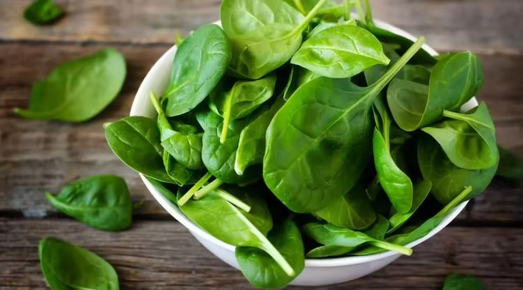 ಚಳಿಗಾಲಕ್ಕೆ ಬಹಳ ಉಪಯೋಗಕಾರಿ ಈ ಪಾಲಕ್ ಸೊಪ್ಪು