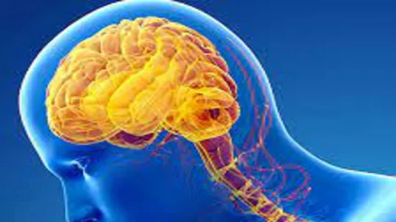 Parkinsen: ಎಚ್‌ಸಿಜಿ ಕ್ಯಾನ್ಸರ್‌ ಕೇಂದ್ರದಿಂದ ರಾಜ್ಯದಲ್ಲೇ ಮೊದಲ ಬಾರಿಗೆ ಪಾರ್ಕಿನ್ಸನ್‌ ಕಾಯಿಲೆಗೆ ಯಶಸ್ವಿ ಚಿಕಿತ್ಸೆ