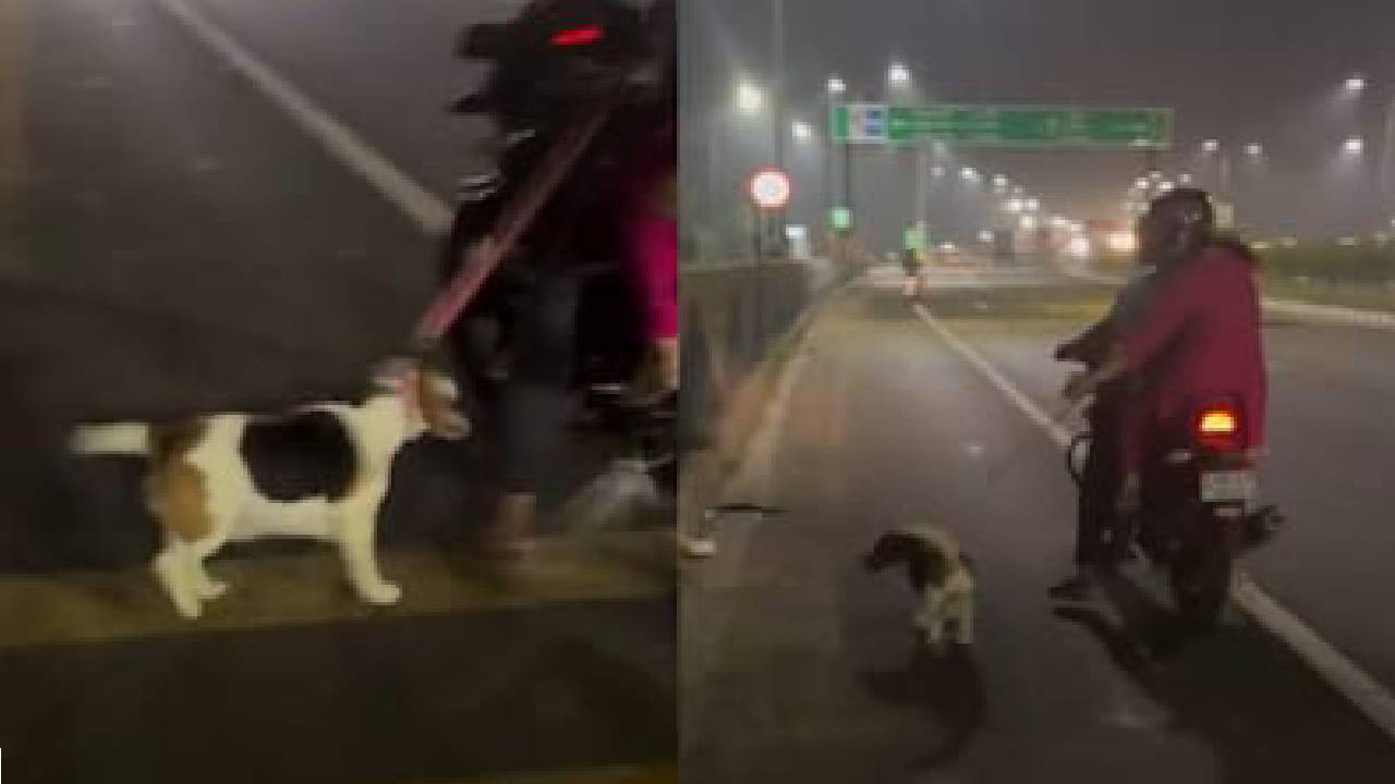 ಸರಪಳಿ ಕಟ್ಟಿ ಬೈಕ್ ನ ಹಿಂದೆ ನಾಯಿಯನ್ನು ಎಳೆದೊಯ್ದ ಮಾಲೀಕ