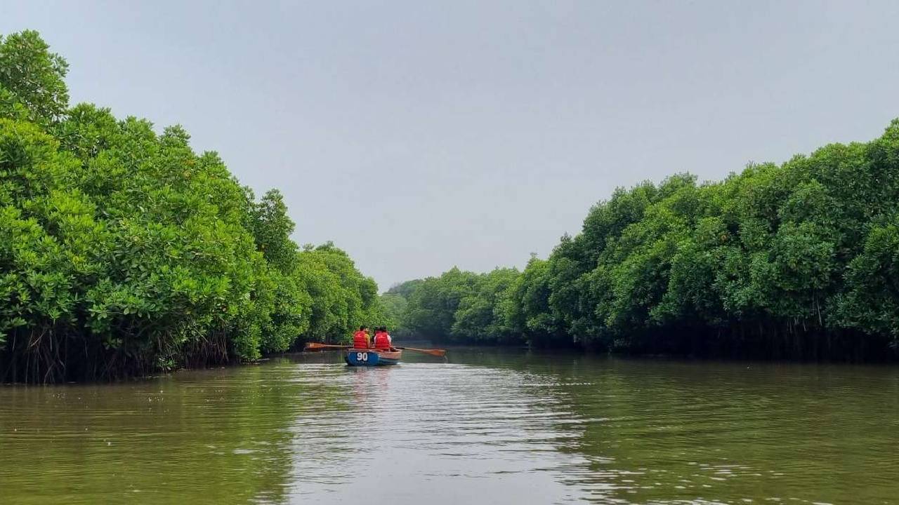 Magical Forests: ದಣಿದ ಮನಸ್ಸಿಗೆ ನೆಮ್ಮದಿಯ ತಂಗಾಳಿ ನೀಡುವ ಭಾರತದ ಅರಣ್ಯಗಳಿವು - Image 5