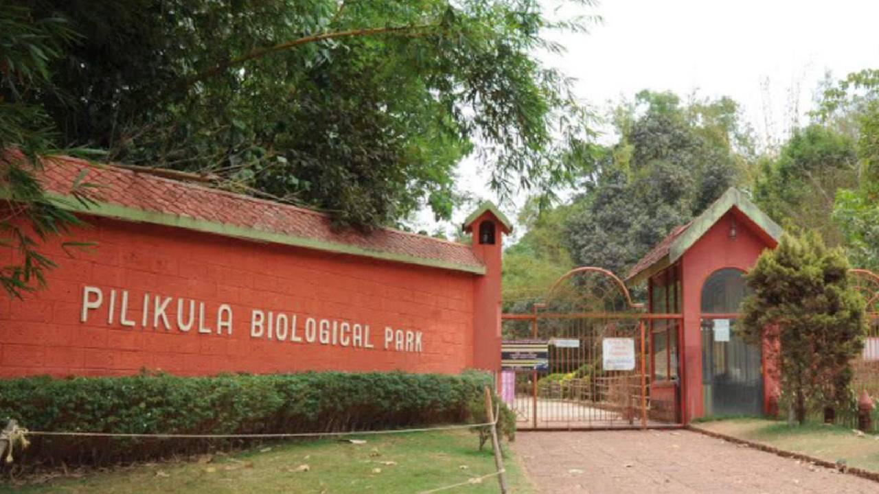 Snake Parks In India: ಹಾವುಗಳ ಬಗ್ಗೆ ತಿಳಿದುಕೊಳ್ಳಬೇಕೆ? ಇಲ್ಲಿದೆ ಭಾರತದ ಅತ್ಯುತ್ತಮ ಸ್ನೇಕ್ ಪಾರ್ಕ್ಗಳ ವಿವರ - Image 3