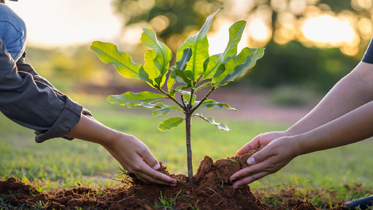 ಅಂಗಾಂಗ ದಾನ ದಿನದ ಅಂಗವಾಗಿ “Tree of Life” ಅಭಿಯಾನ ಪ್ರಾರಂಭ