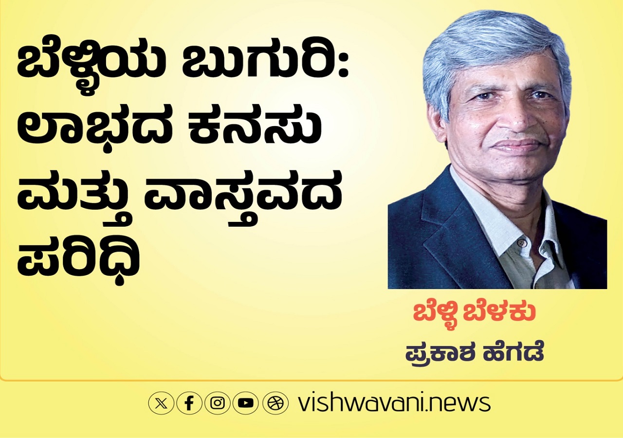 ಬೆಳ್ಳಿಯ ಬುಗುರಿ:  ಲಾಭದ ಕನಸು ಮತ್ತು ವಾಸ್ತವದ ಪರಿಧಿ