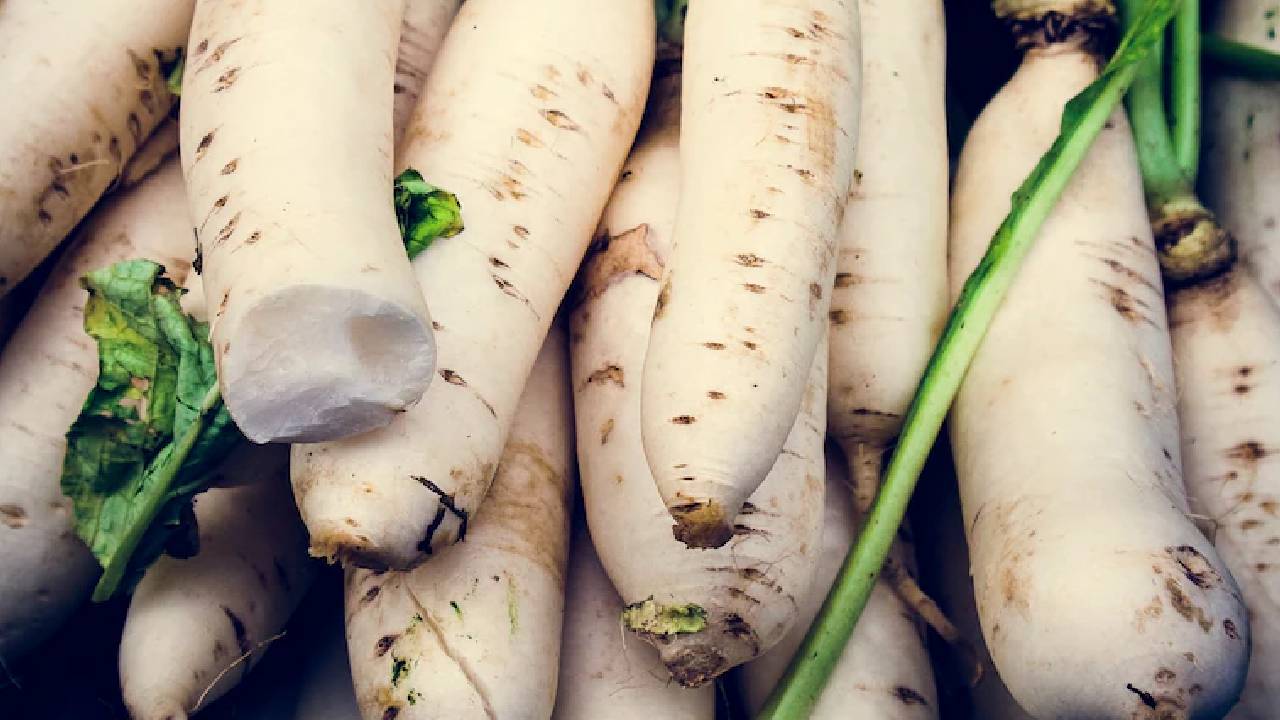 ಆರೋಗ್ಯದ ಗಣಿ ಮೂಲಂಗಿ