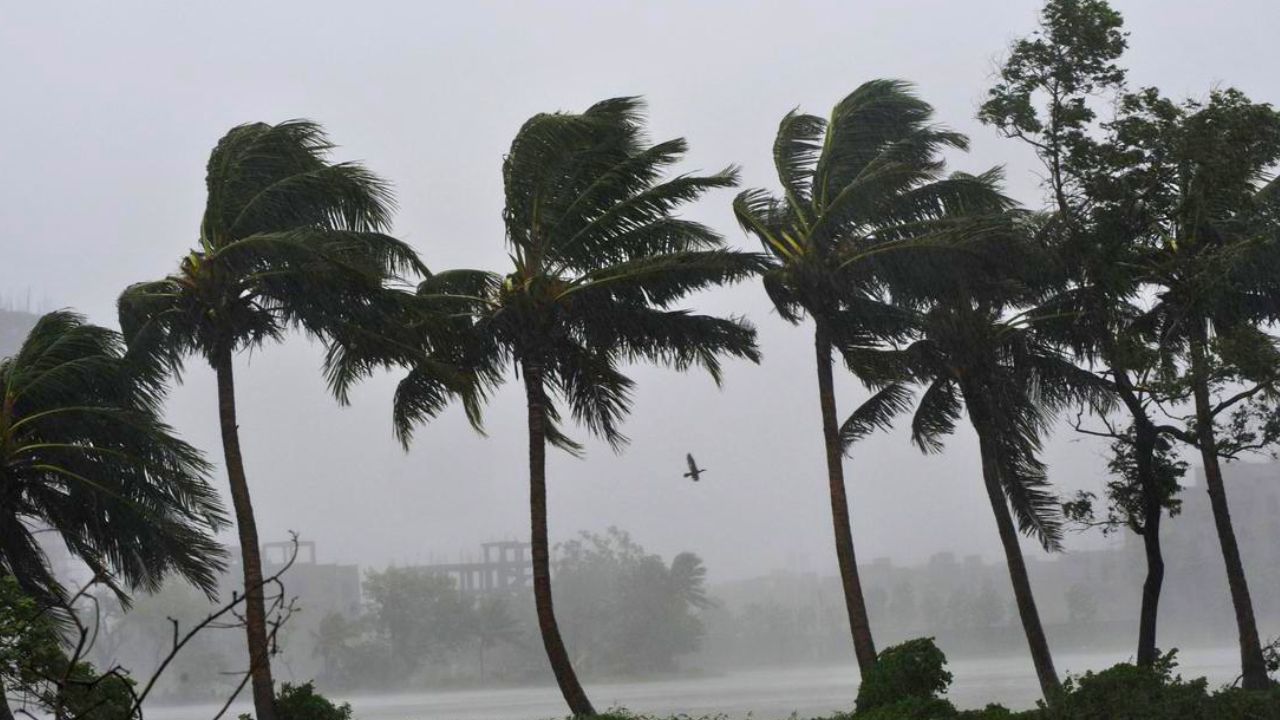Karnataka Rains: ಮುಂದಿನ 4 ದಿನ ಕರಾವಳಿ, ಮಲೆನಾಡಿನಲ್ಲಿ ಬಿರುಗಾಳಿ ಸಹಿತ ಭಾರಿ ಮಳೆ; ಸಮುದ್ರಕ್ಕಿಳಿಯದಂತೆ ಮೀನುಗಾರರಿಗೆ ಎಚ್ಚರಿಕೆ!
