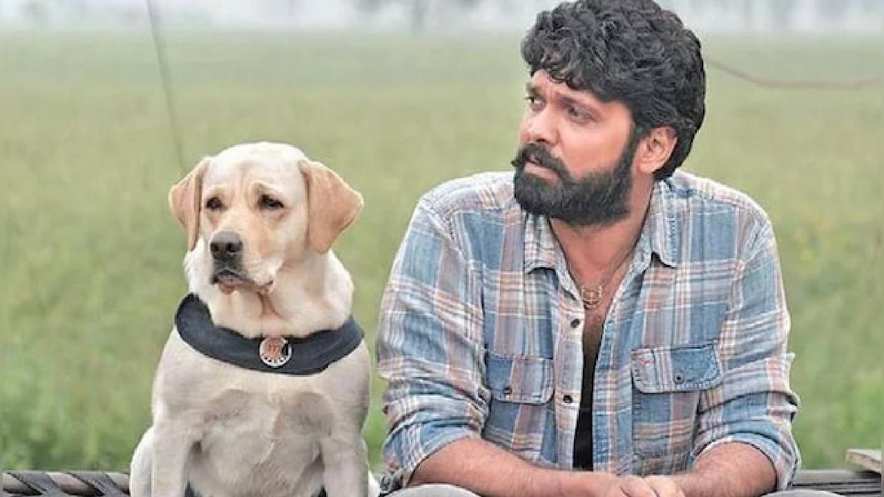 Rakshit Shetty Birthday: ಸಿಂಪಲ್ ಸ್ಟಾರ್ಗೆ ಬರ್ತ್ ಡೇ ಸಂಭ್ರಮ; ರಕ್ಷಿತ್ ಶೆಟ್ಟಿ ಕುರಿತು ನಿಮಗೆ ಗೊತ್ತಿರದ ಇಂಟ್ರಸ್ಟಿಂಗ್ ಸಂಗತಿಗಳು ಇಲ್ಲಿವೆ - Image 8