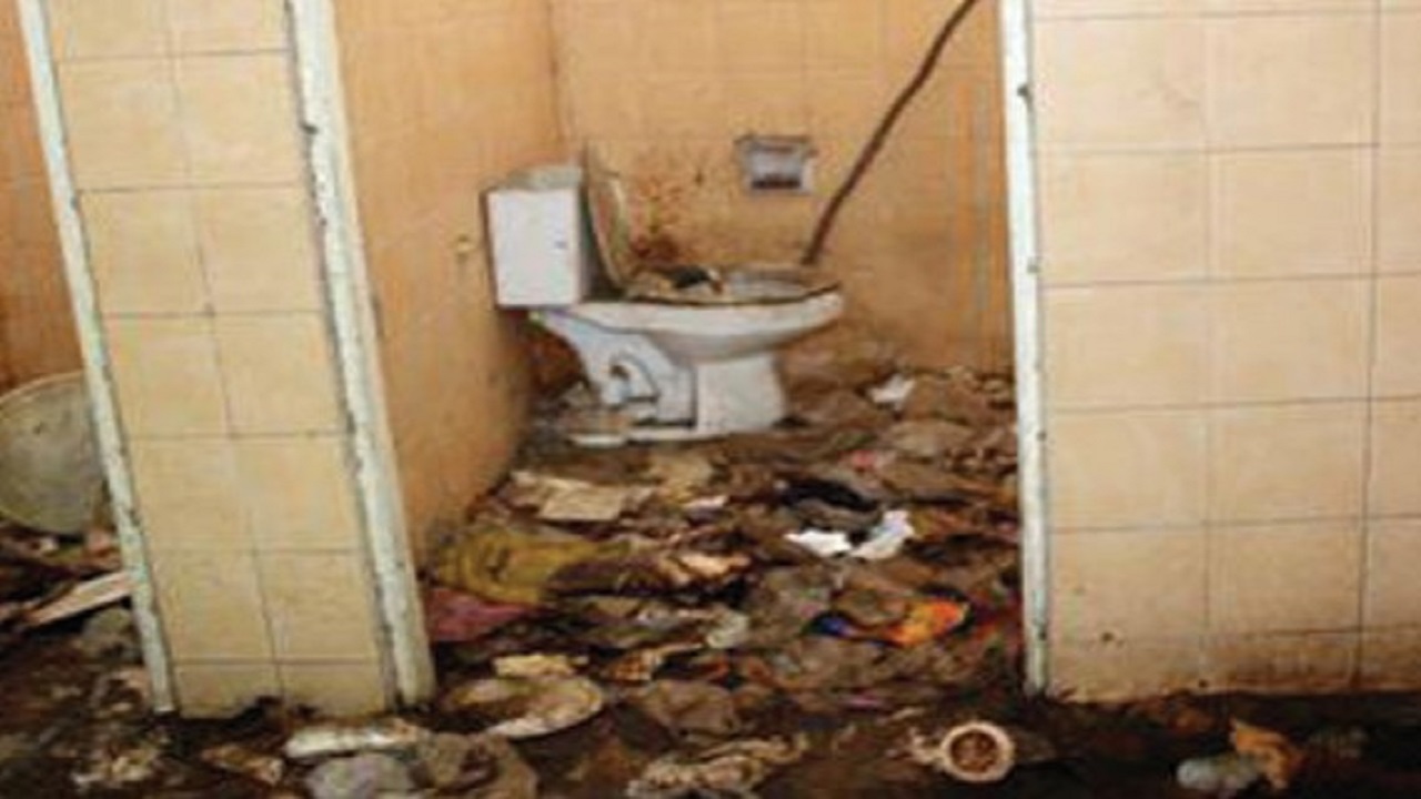 Surendra Pai Column: ಸಾರ್ವಜನಿಕ ಶೌಚಾಲಯದ ಗೋಳು ಕೇಳುವವರಾರು ?