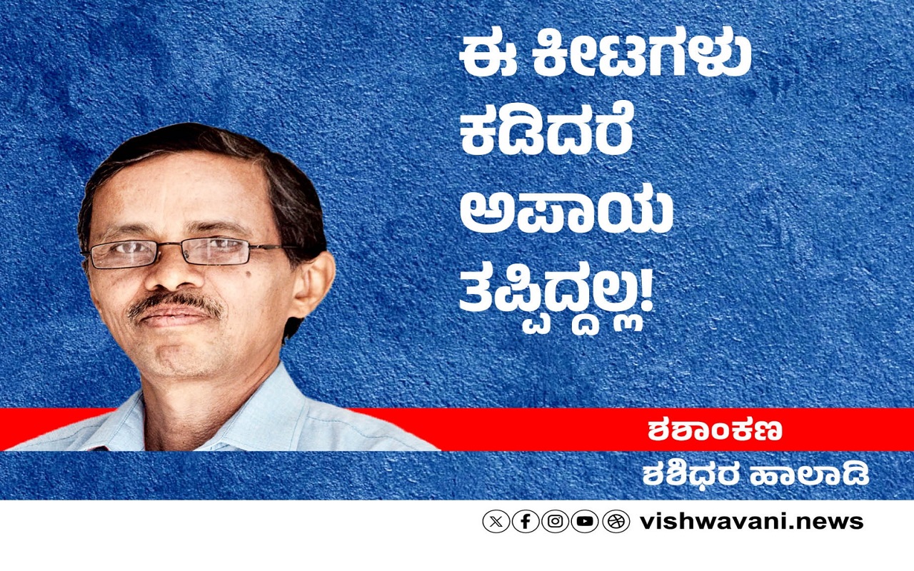 Shashidhara Halady Column: ಈ ಕೀಟಗಳು ಕಡಿದರೆ ಅಪಾಯ ತಪ್ಪಿದ್ದಲ್ಲ!