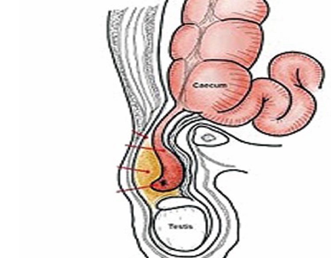 ಹದ್ದಿನ ಕಣ್ಣು, ಸಿಂಹದ ಗುಂಡಿಗೆ ಹಾಗೂ ನಾರಿಯ ಕೋಮಲ ನರಗಳು