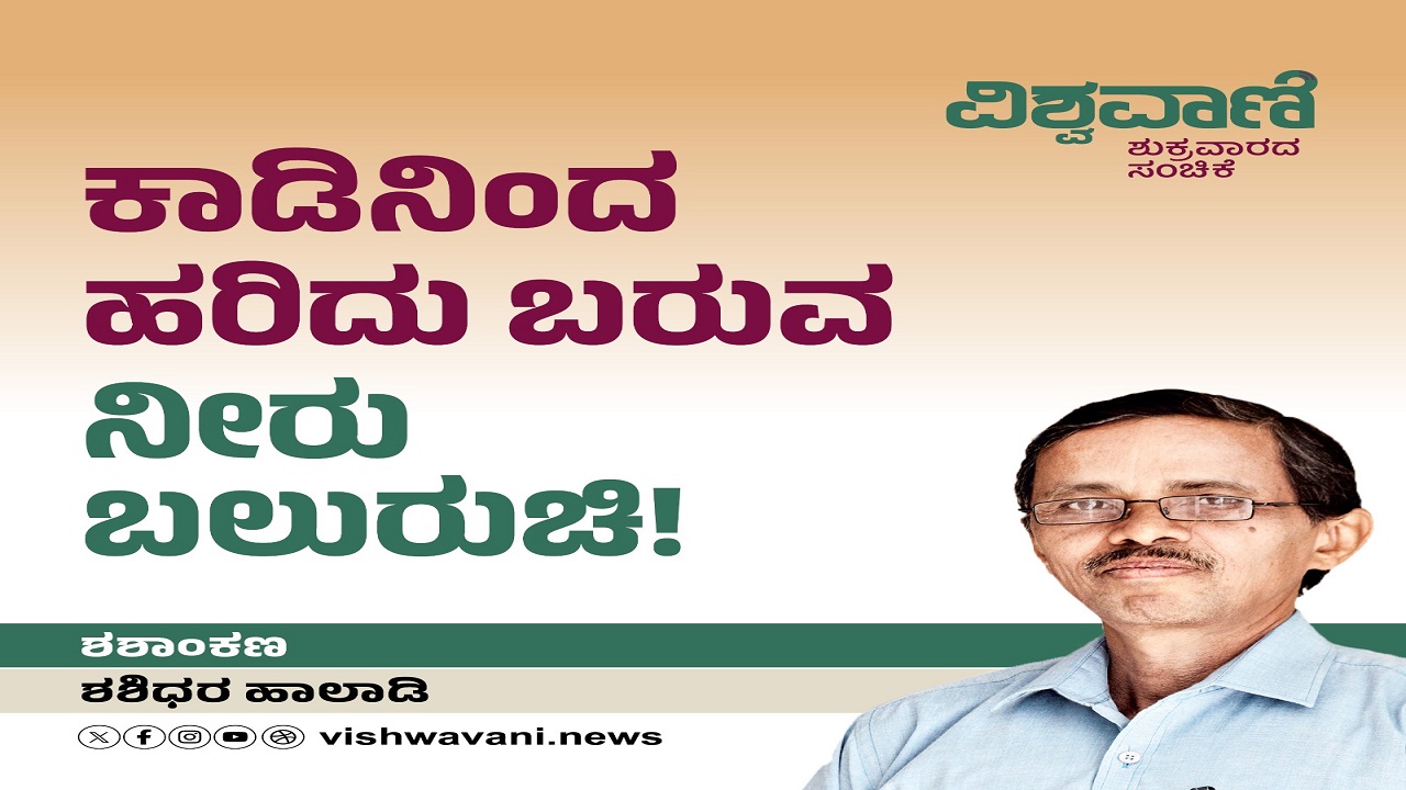 ಕಾಡಿನಿಂದ ಹರಿದುಬರುವ ನೀರು ಬಲುರುಚಿ !