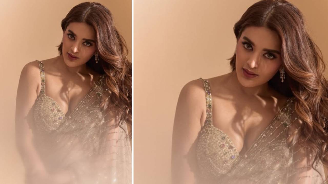 Star Fashion 2026: ʼದಿ ರಾಜಾಸಾಬ್‌ʼ ನಟಿ ನಿಧಿ ಅಗರ್‌ವಾಲ್‌ ಶೀರ್‌ ಸೀರೆ ಪ್ರೇಮ - Image 3