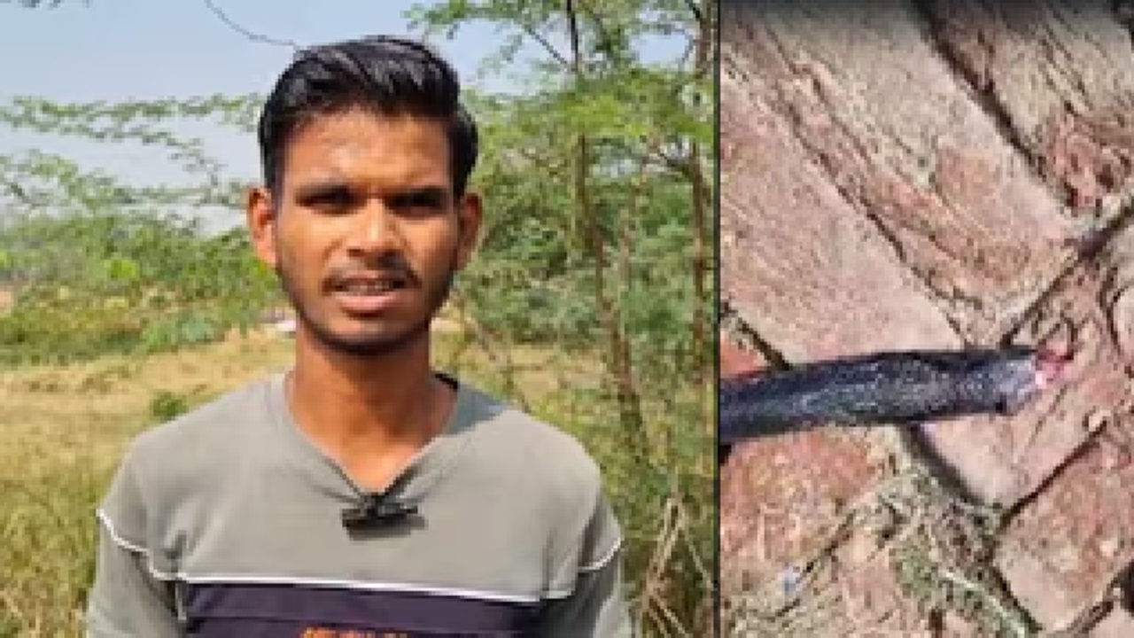Viral News: ತನಗೆ ಕಚ್ಚಿದ ನಾಗರಹಾವಿಗೇ ಕಚ್ಚಿದ ಭೂಪ- ಸತ್ತು ಬಿದ್ದ ವಿಷಸರ್ಪ! ವಿಡಿಯೊ ನೋಡಿ