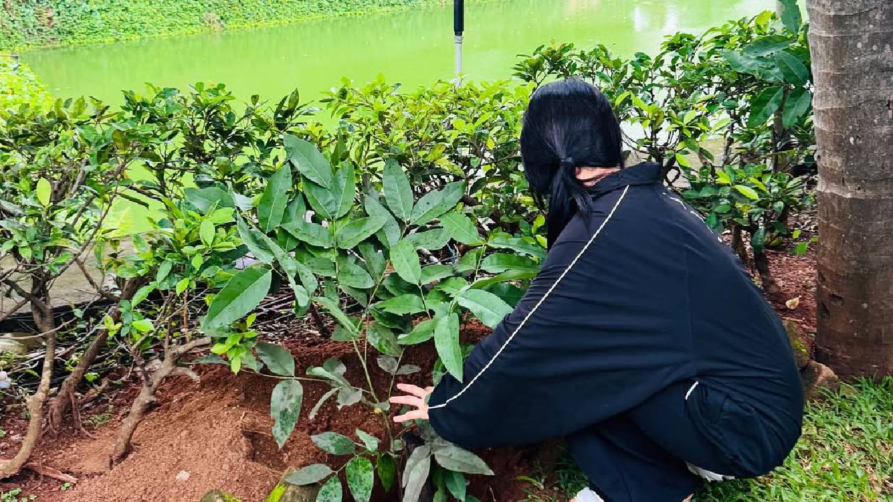 Sreeleela: ನೋ ಮೇಕಪ್ ಲುಕ್ನಲ್ಲಿ ಶ್ರೀಲೀಲಾ; ಮಾನ್ಸೂನ್ ವೈಬ್ ಫೋಟೊಗಳಿಗೆ ಅಭಿಮಾನಿಗಳು ಫಿದಾ - Image 2