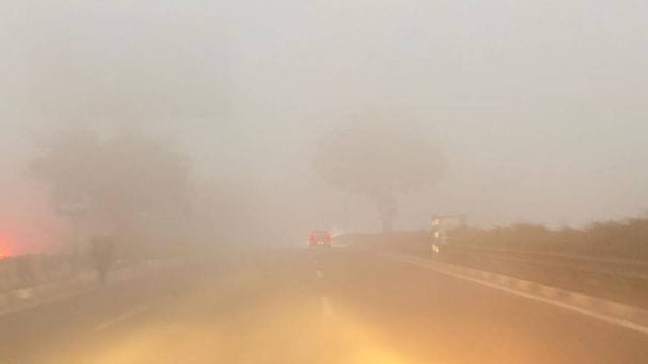 ದಿಲ್ಲಿ ವಾಯು ಗುಣಮಟ್ಟ ಕಳಪೆಗೆ ಇಳಿಕೆ: 500ರ ಸನಿಹ ಸರಾಸರಿ ಸೂಚ್ಯಂಕ!