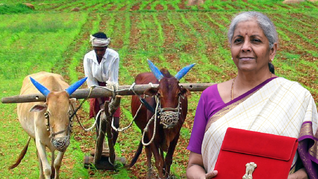 ಕೃಷಿ ವಲಯಕ್ಕೆ AI ಸ್ಪರ್ಶ; ಕೇಂದ್ರ ಬಜೆಟ್‌ನಲ್ಲಿ ರೈತರಿಗೆ ಸಿಕ್ಕಿದ್ದೇನು?