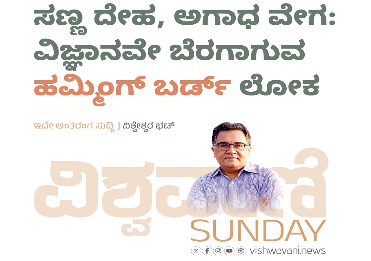 ವಿಜ್ಞಾನವೇ ಬೆರಗಾಗುವ ಹಮ್ಮಿಂಗ್‌ ಬರ್ಡ್‌ ಲೋಕ