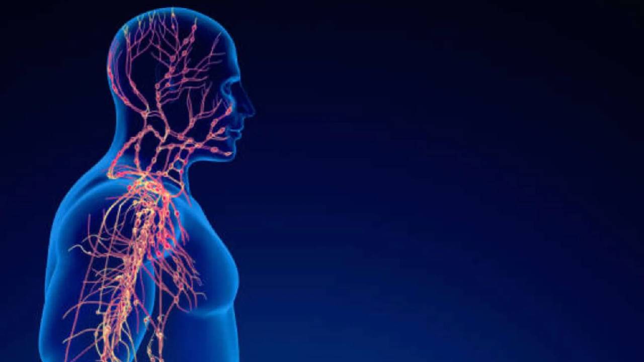 ವೇಗಸ್ ನರ ಆ್ಯಕ್ಟಿವ್ ಆದರೆ ಏನೆಲ್ಲ ಆರೋಗ್ಯ ಪ್ರಯೋಜನ ಇದೆ ಗೊತ್ತಾ?