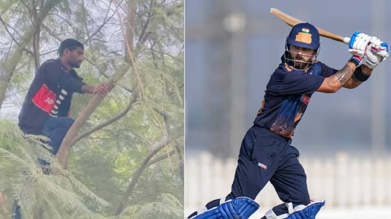 ಲಾರಿ, ಮರವೇರಿ ಕೊಹ್ಲಿಯ ಬ್ಯಾಟಿಂಗ್‌ ಕಣ್ತುಂಬಿಕೊಂಡ ಅಭಿಮಾನಿ!