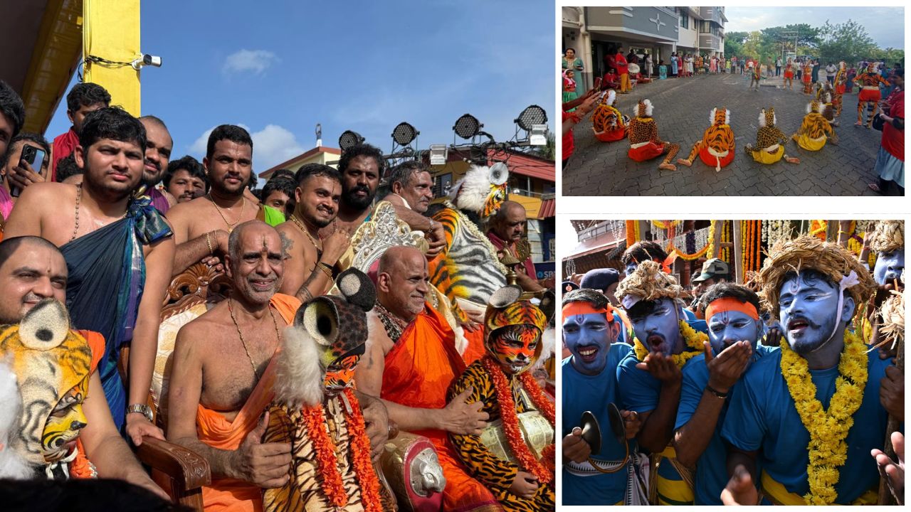 Vitla Pindi Mahotsav: ಕೃಷ್ಣನೂರು ಉಡುಪಿಯಲ್ಲಿ ಜನ್ಮಾಷ್ಟಮಿ, ಲೀಲೋತ್ಸವ ಸಂಭ್ರಮ; ಬಗೆ ಬಗೆಯ ವೇಷ, ಹುಲಿ ಕುಣಿತದ ವೈಭವಕ್ಕೆ ಮಾರುಹೋದ ಭಕ್ತರು - Image 9